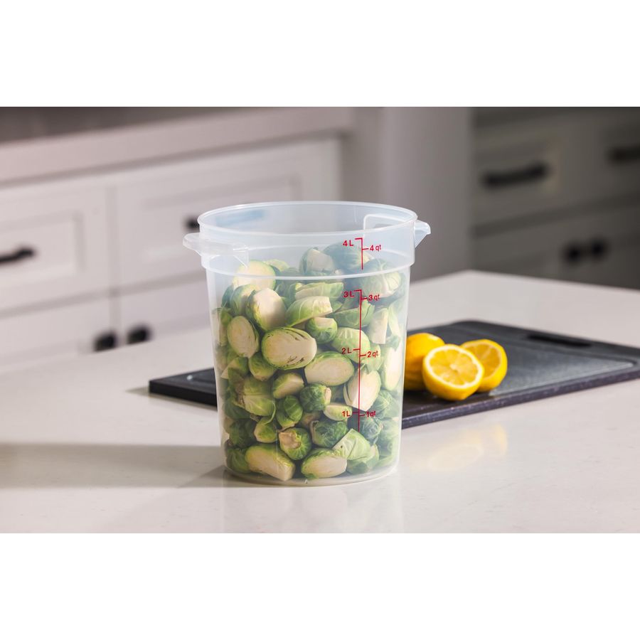 Food Storage Containers with L - Food Storage Quart Containers ulasan dan harga