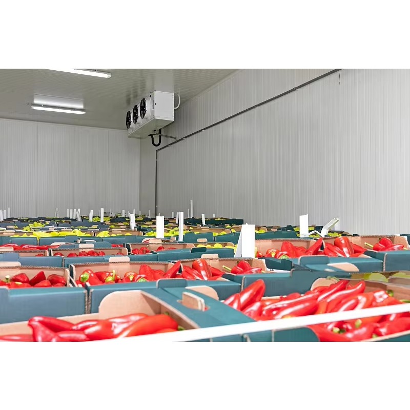 Customized Cold Room Hot Sale  - Food Storage Keep Hot ulasan dan harga