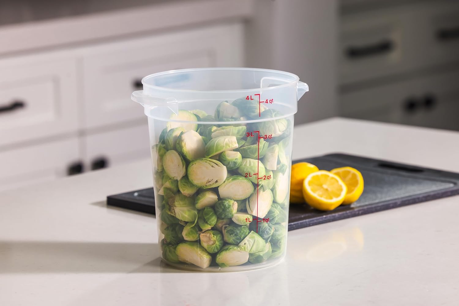 4 Quart Food Storage Container - Food Storage Quart Containers ulasan dan harga