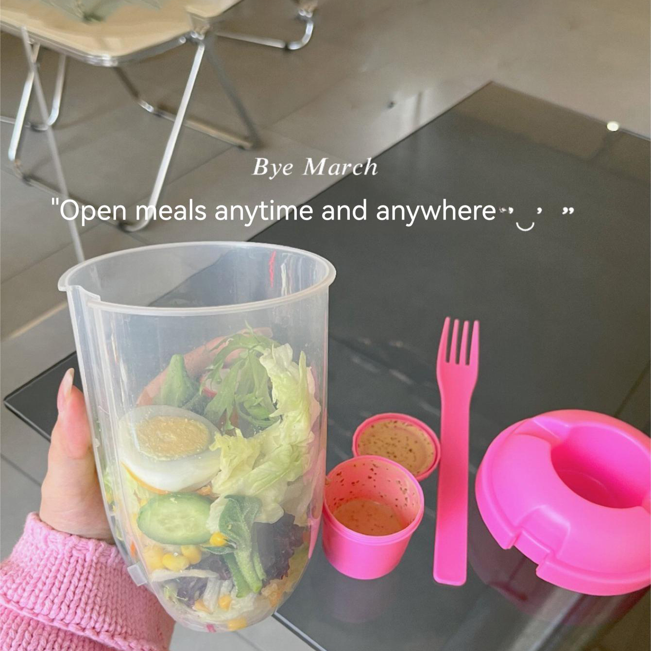3In1 Portable Salad Cup Breakf - Food Storage Yogurt ulasan dan harga