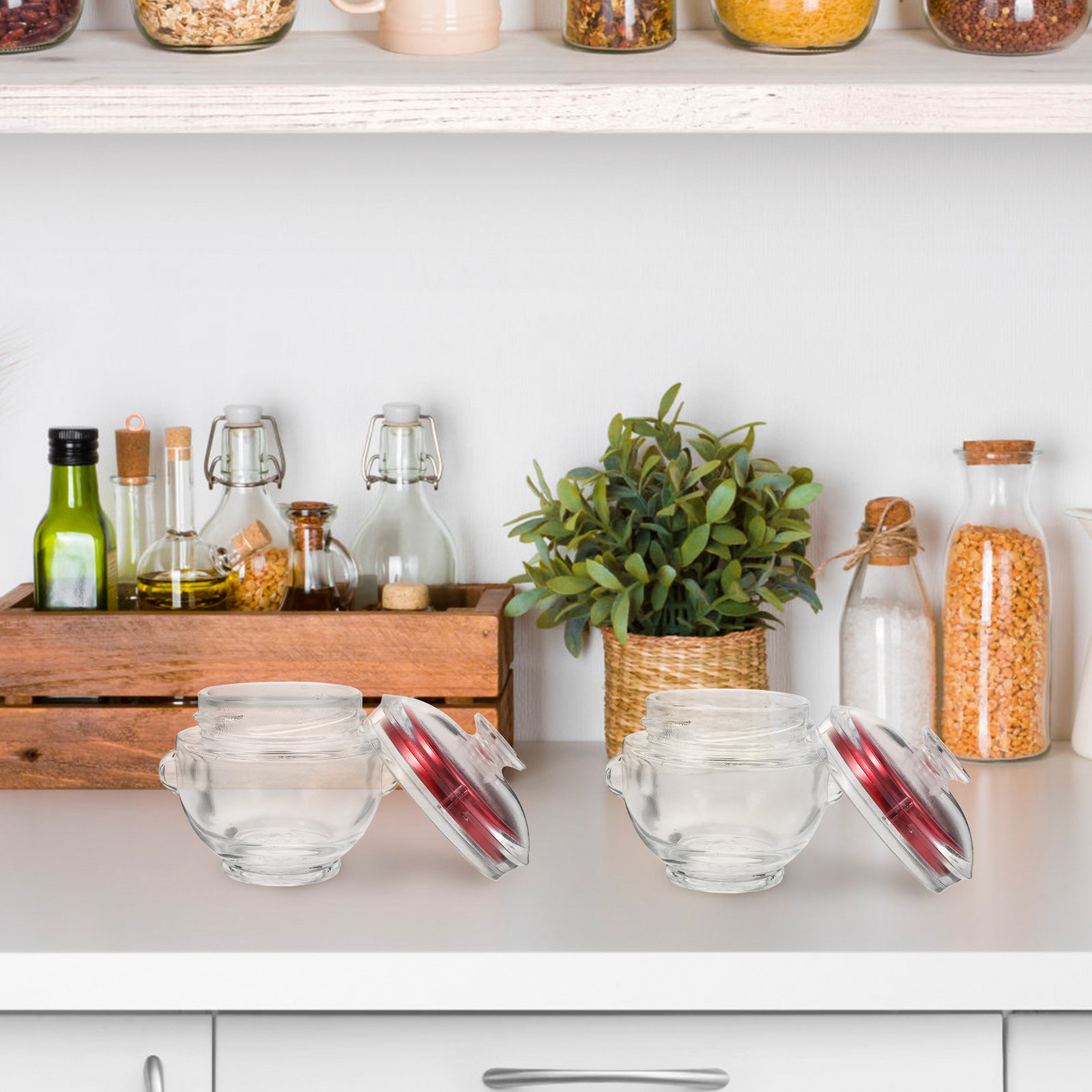 4Pcs Glass Cubilose Bottles Se - Food Storage Containers Glass ulasan dan harga